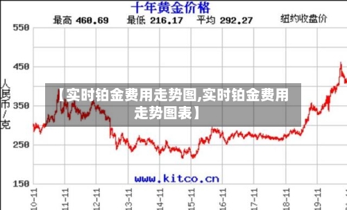 【实时铂金费用走势图,实时铂金费用走势图表】