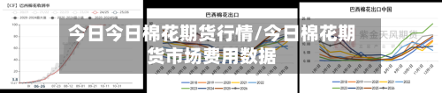 今日今日棉花期货行情/今日棉花期货市场费用数据-第3张图片