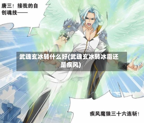 武魂玄冰转什么好(武魂玄冰转冰霜还是疾风)