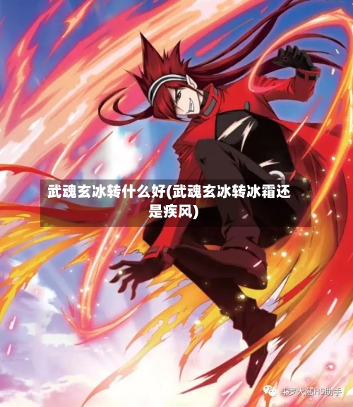 武魂玄冰转什么好(武魂玄冰转冰霜还是疾风)-第2张图片