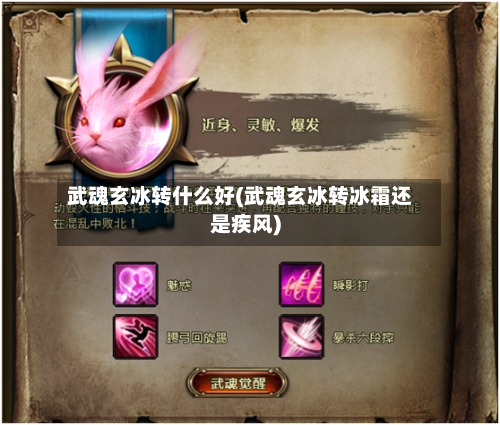 武魂玄冰转什么好(武魂玄冰转冰霜还是疾风)-第3张图片