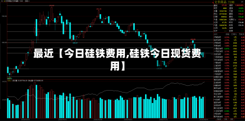 最近【今日硅铁费用,硅铁今日现货费用】-第2张图片