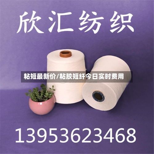 粘短最新价/粘胶短纤今日实时费用-第2张图片