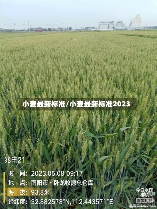 小麦最新标准/小麦最新标准2023