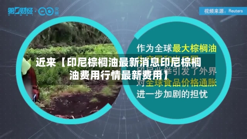 近来【印尼棕榈油最新消息印尼棕榈油费用行情最新费用】-第2张图片