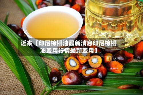 近来【印尼棕榈油最新消息印尼棕榈油费用行情最新费用】