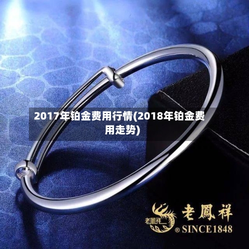 2017年铂金费用行情(2018年铂金费用走势)-第2张图片