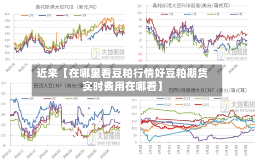 近来【在哪里看豆粕行情好豆粕期货实时费用在哪看】