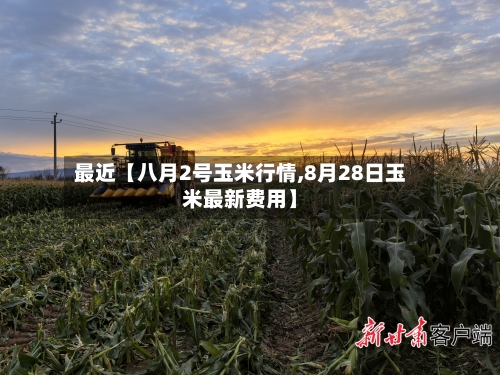 最近【八月2号玉米行情,8月28日玉米最新费用】-第3张图片
