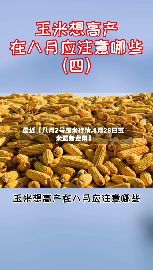 最近【八月2号玉米行情,8月28日玉米最新费用】