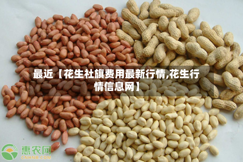 最近【花生社旗费用最新行情,花生行情信息网】-第2张图片