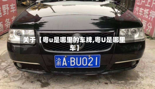 关于【粤u是哪里的车牌,粤U是哪里车】