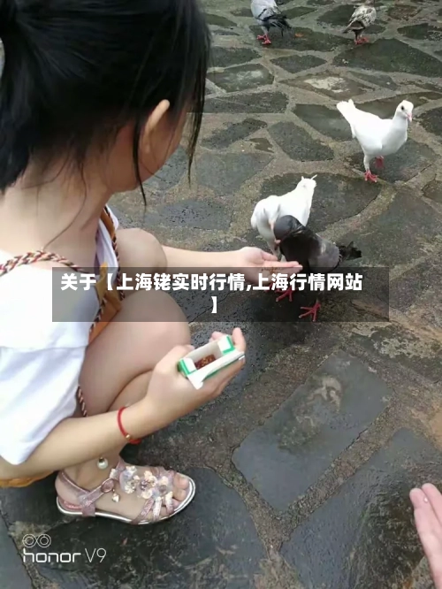 关于【上海铑实时行情,上海行情网站】-第3张图片