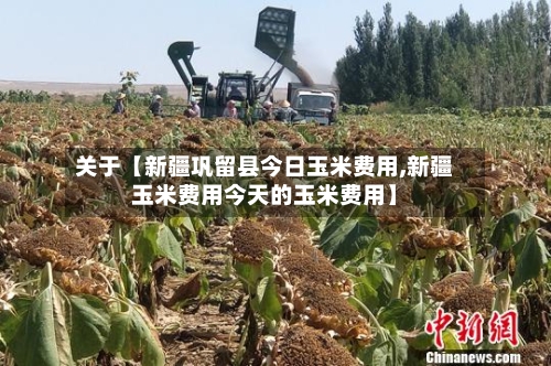 关于【新疆巩留县今日玉米费用,新疆玉米费用今天的玉米费用】-第3张图片