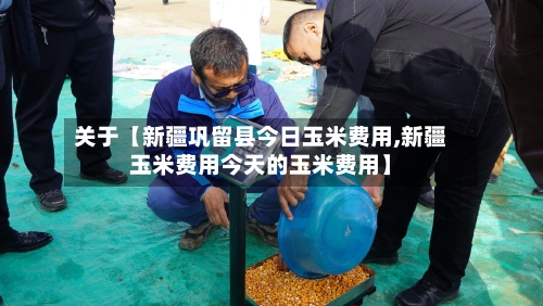 关于【新疆巩留县今日玉米费用,新疆玉米费用今天的玉米费用】
