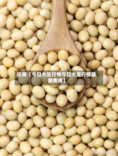 近来【今日大豆行情今日大豆行情最新费用】