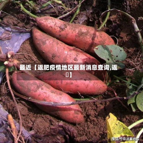 最近【返肥疫情地区最新消息查询,返咗】