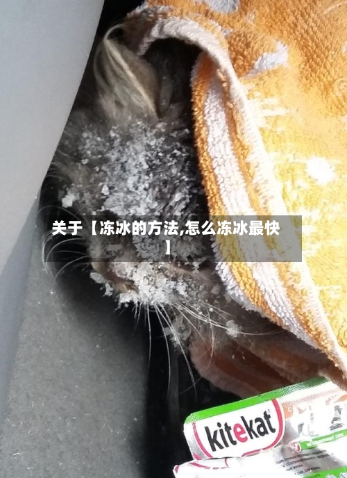关于【冻冰的方法,怎么冻冰最快】-第2张图片