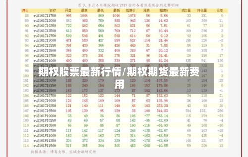 期权股票最新行情/期权期货最新费用-第2张图片