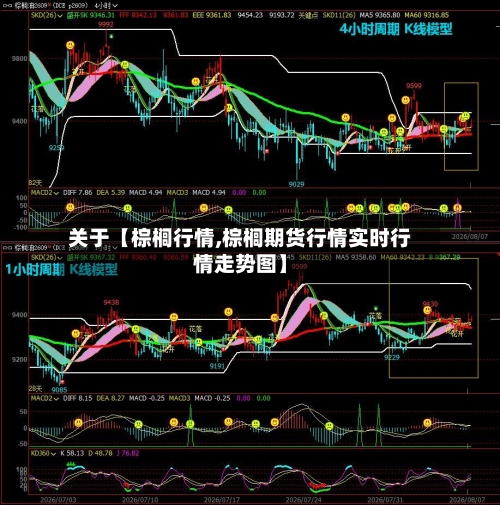 关于【棕榈行情,棕榈期货行情实时行情走势图】