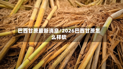 巴西甘蔗最新消息/2026巴西甘蔗怎么样砍