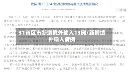 31省区市新增境外输入13例/新增境外输入病例