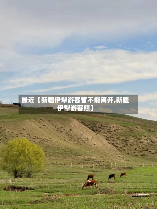 最近【新疆伊犁游客暂不能离开,新疆伊犁游客照】-第2张图片