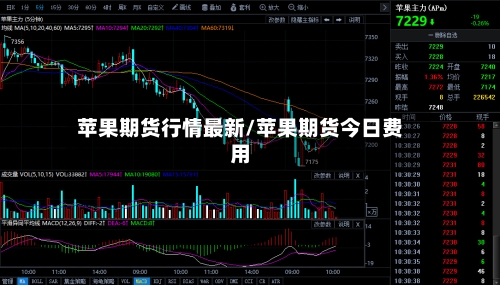 苹果期货行情最新/苹果期货今日费用-第2张图片