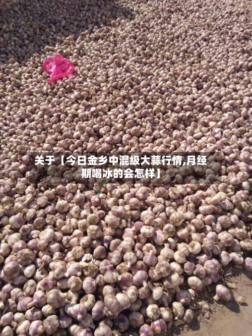 关于【今日金乡中混级大蒜行情,月经期喝冰的会怎样】
