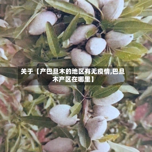 关于【产巴旦木的地区有无疫情,巴旦木产区在哪里】-第3张图片