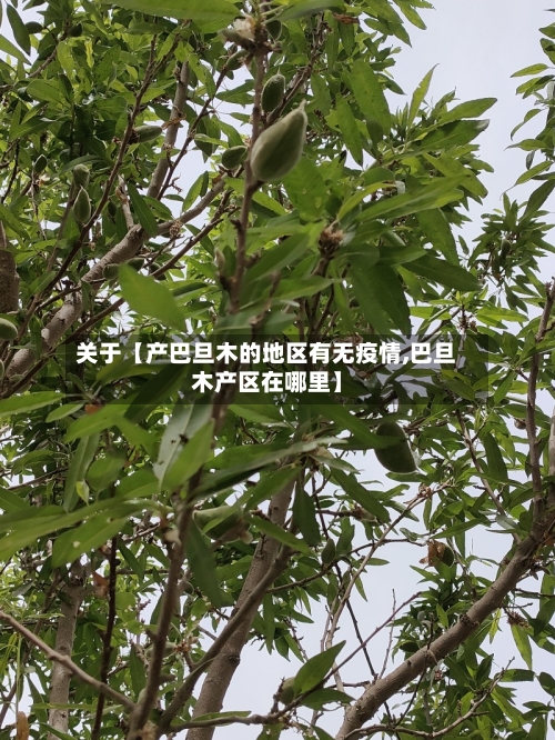 关于【产巴旦木的地区有无疫情,巴旦木产区在哪里】-第2张图片