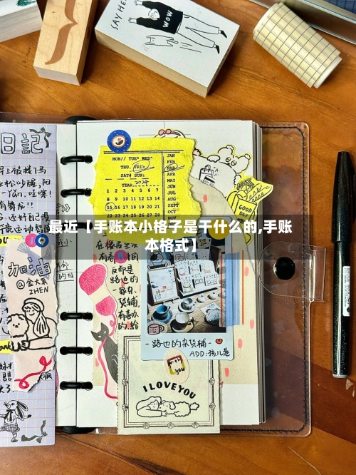 最近【手账本小格子是干什么的,手账本格式】-第3张图片