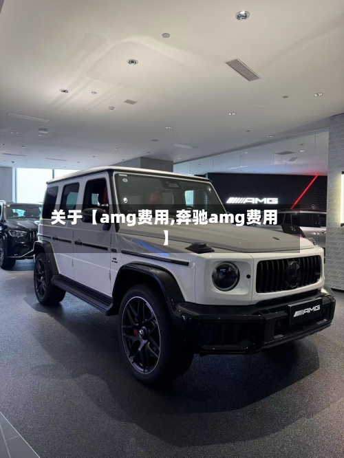 关于【amg费用,奔驰amg费用】-第2张图片