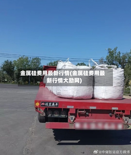 金属硅费用最新行情(金属硅费用最新行情大励网)