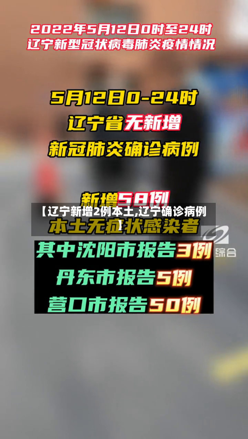 【辽宁新增2例本土,辽宁确诊病例】