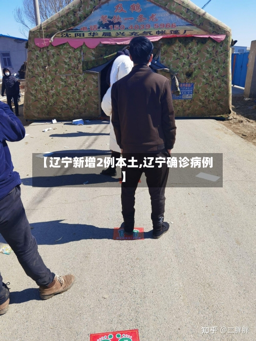 【辽宁新增2例本土,辽宁确诊病例】-第3张图片