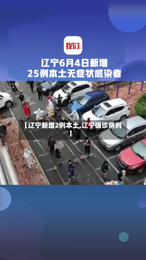 【辽宁新增2例本土,辽宁确诊病例】-第2张图片
