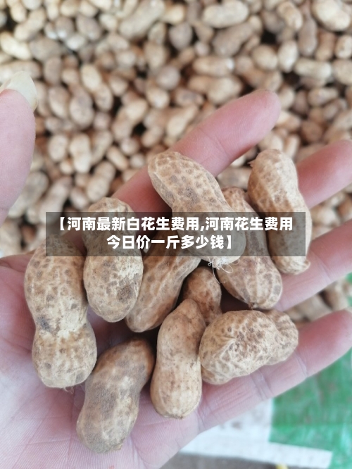 【河南最新白花生费用,河南花生费用今日价一斤多少钱】-第3张图片