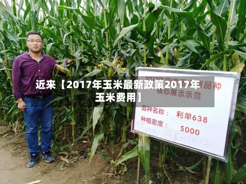近来【2017年玉米最新政策2017年玉米费用】-第3张图片
