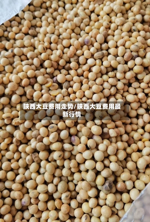 陕西大豆费用走势/陕西大豆费用最新行情