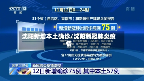 沈阳新增本土确诊/沈阳新冠肺炎疫情-第2张图片