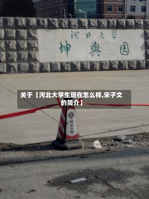 关于【河北大学生现在怎么样,宋子文的简介】-第3张图片