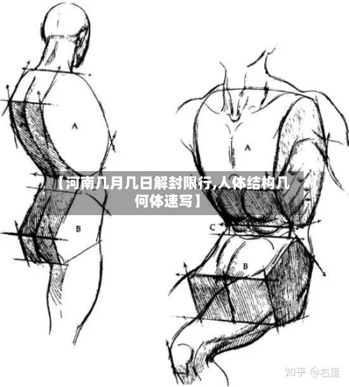 【河南几月几日解封限行,人体结构几何体速写】-第2张图片