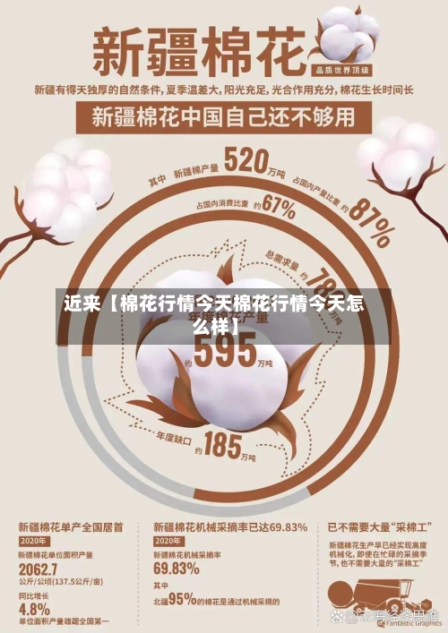 近来【棉花行情今天棉花行情今天怎么样】-第3张图片