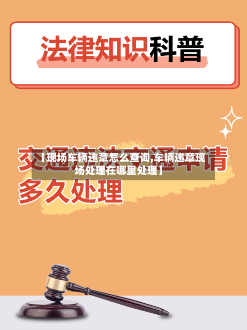 【现场车辆违章怎么查询,车辆违章现场处理在哪里处理】