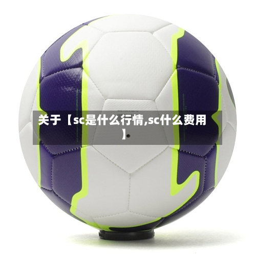关于【sc是什么行情,sc什么费用】