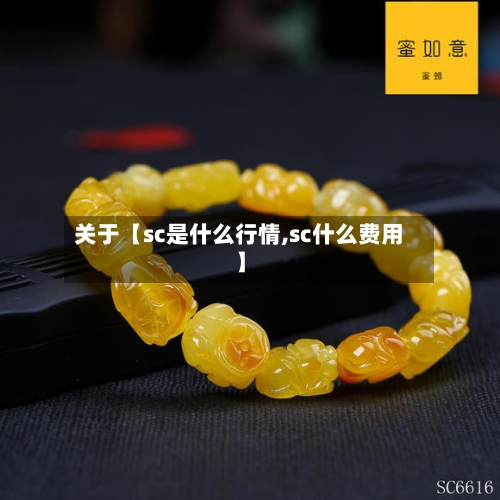 关于【sc是什么行情,sc什么费用】-第3张图片