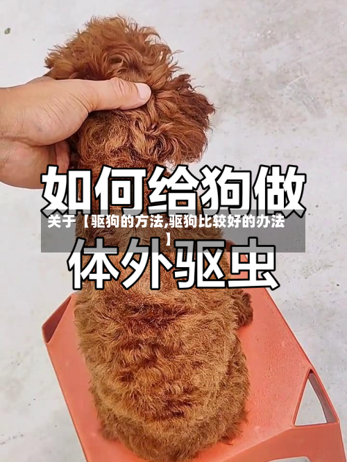 关于【驱狗的方法,驱狗比较好的办法】