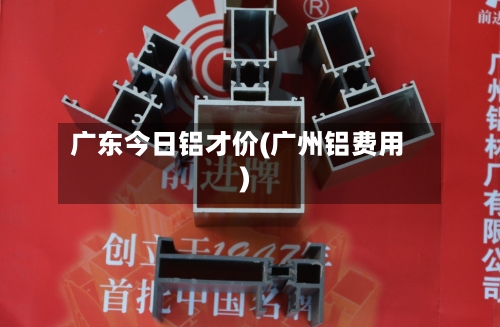 广东今日铝才价(广州铝费用)