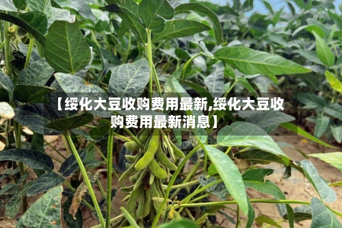 【绥化大豆收购费用最新,绥化大豆收购费用最新消息】-第2张图片